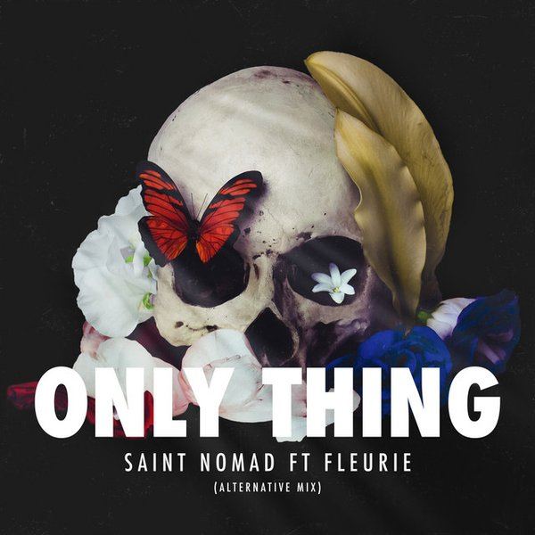 Cover art for Only Thing (Alternative Mix) by Saint Nomad ft. Fleurie